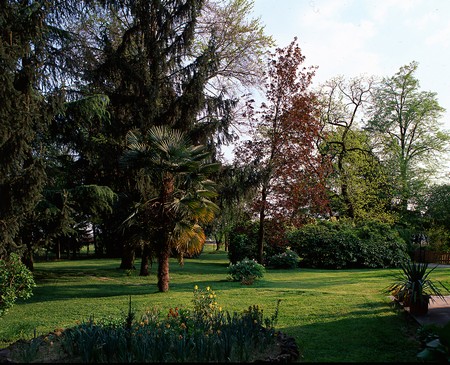 parco verde - villa todesco villa del conte, Padova